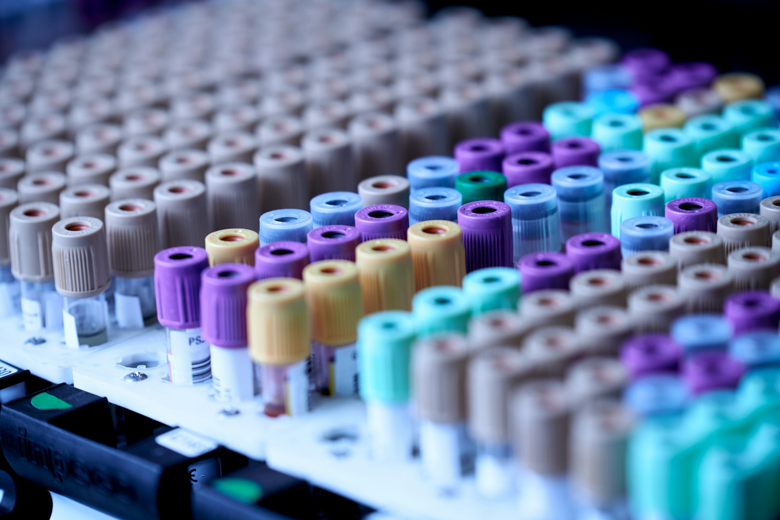 Rangées de tubes de prélèvement sanguin à bouchons colorés dans un portoir de laboratoire